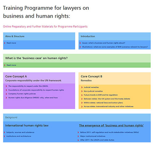 Training programme for lawyers on business and human rights