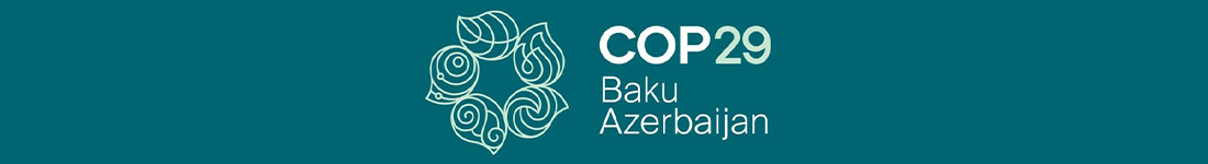 COP29