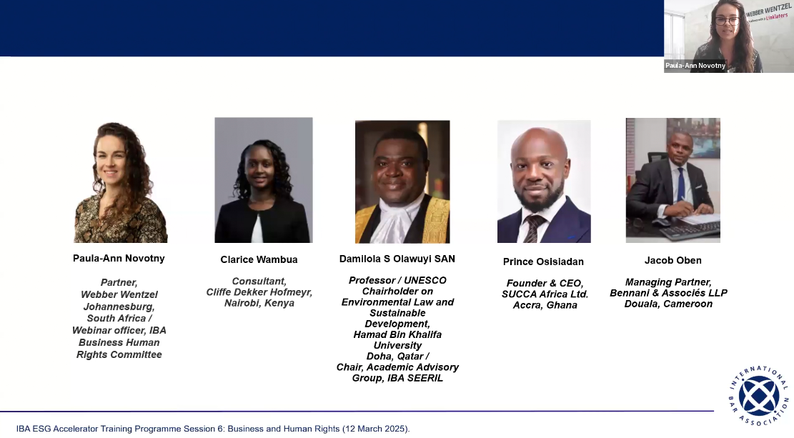 ESG Accelerator Training Programme