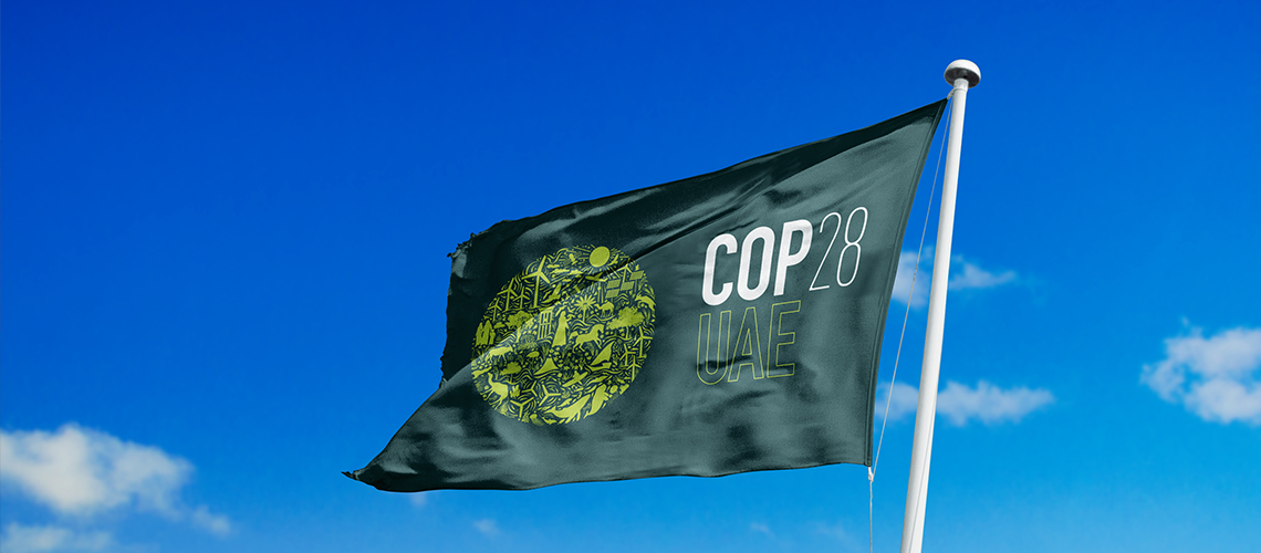 COP28: Cop 28 closes with food system action omitted: Food experts