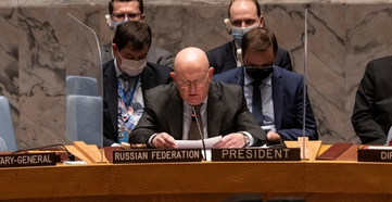 Ukraine - The UN: words, but no teeth 